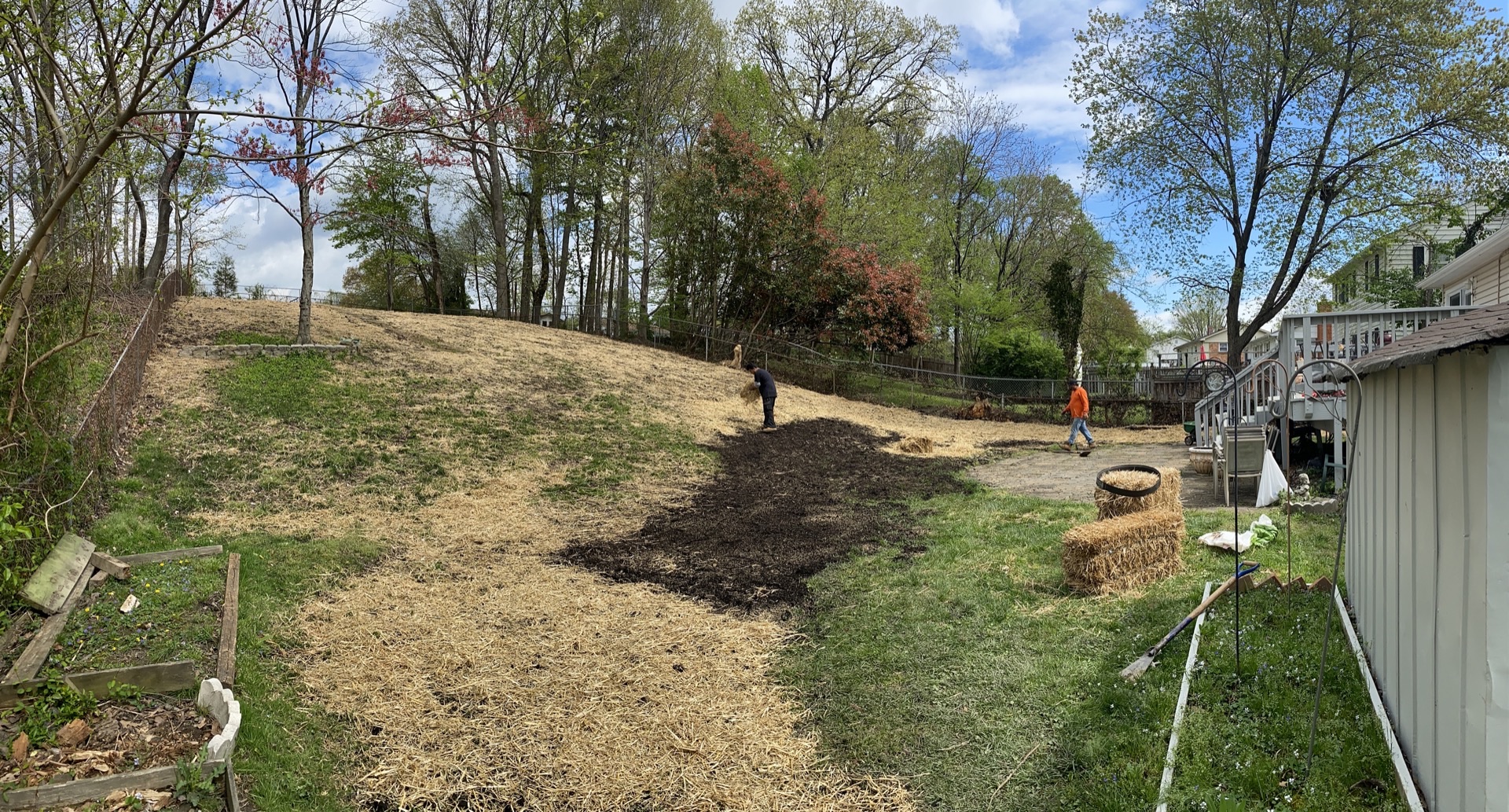 Professional landscaping service