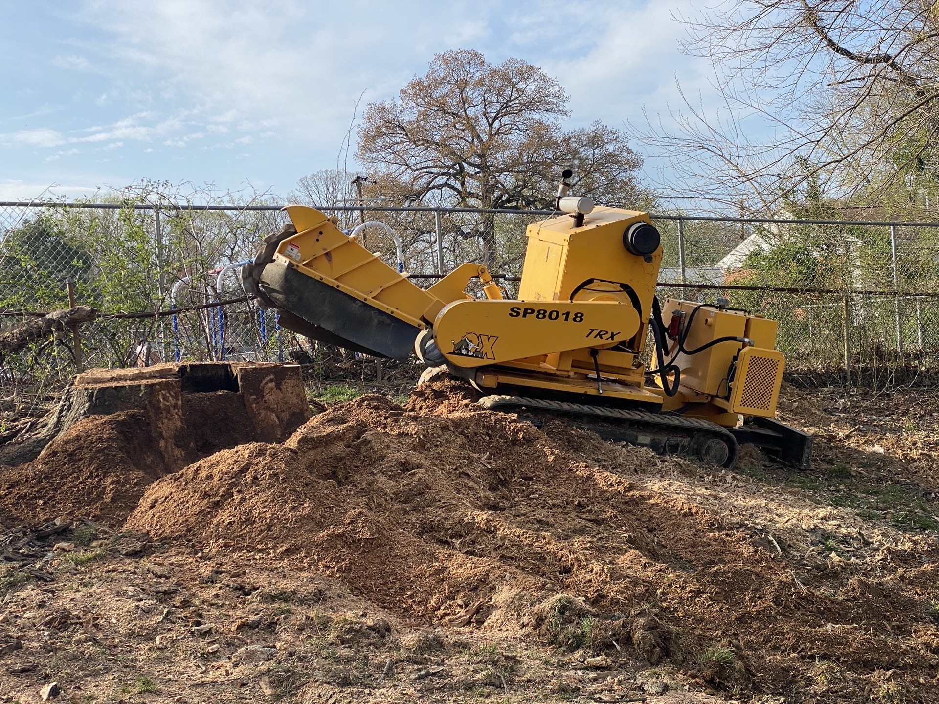 Stump grinding after tree removal